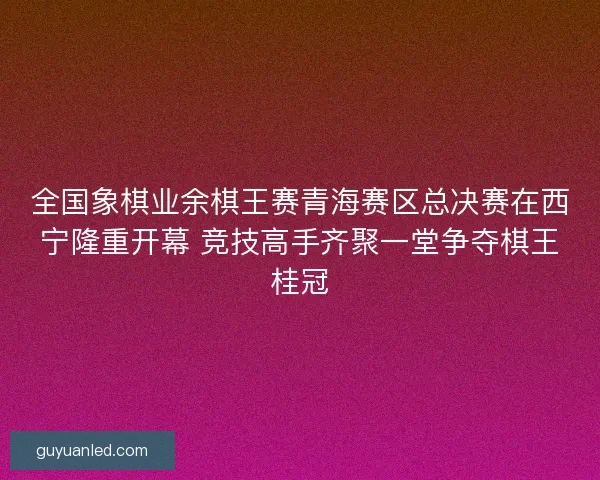 全国象棋业余棋王赛青海赛区总决赛在西宁隆重开幕 竞技高手齐聚一堂争夺棋王桂冠